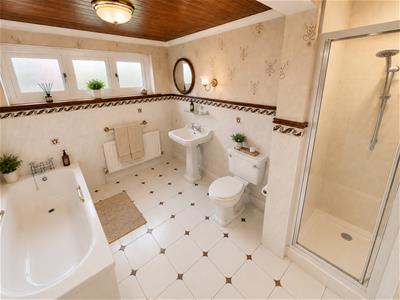 Picture 17